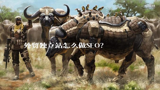 外贸独立站怎么做SEO?