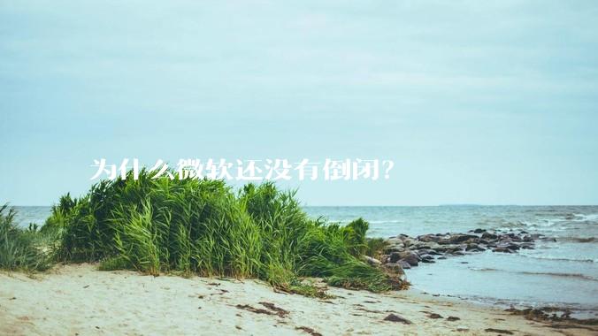 为什么微软还没有倒闭?