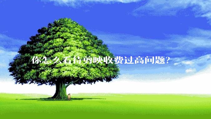 你怎么看待剪映收费过高问题?