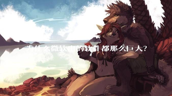 为什么微软出的软件都那么巨大?