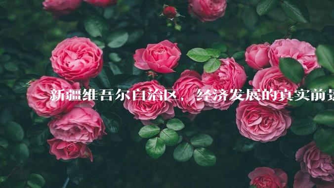 新疆维吾尔自治区,经济发展的真实前景如何?