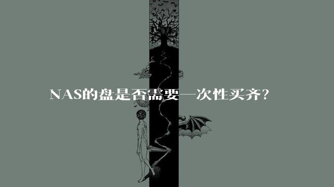 NAS的盘是否需要一次性买齐?