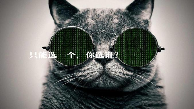 只能选一个,你选谁?