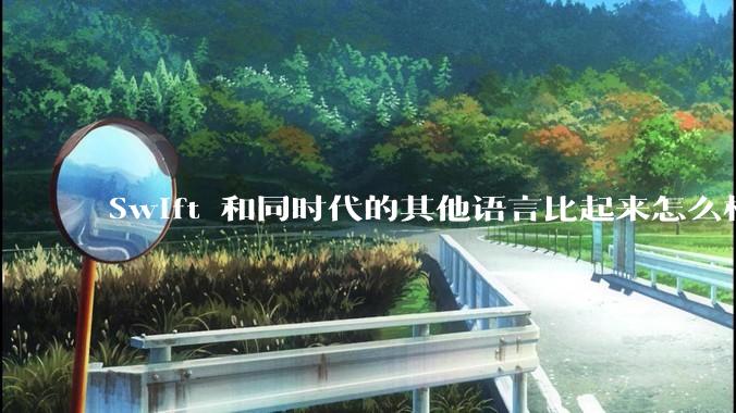 Swift 和同时代的其他语言比起来怎么样?
