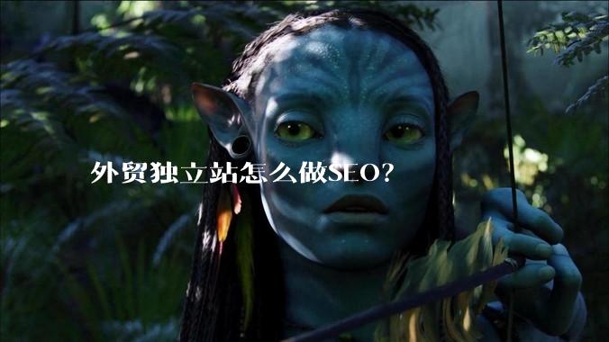 外贸独立站怎么做SEO?